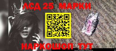 сатива Долгопрудный