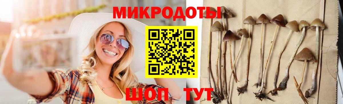 Омск  Псилоцибиновые грибы Psilocybine cubensis  Вход с VPN 